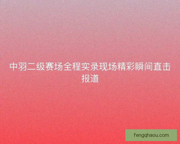 中羽二级赛场全程实录现场精彩瞬间直击报道
