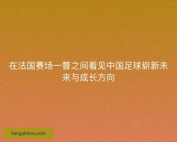 在法国赛场一瞥之间看见中国足球崭新未来与成长方向